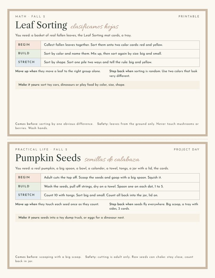 Activity cards for leaf sorting and pumpkin seeds, each with Begin, Build and Stretch levels